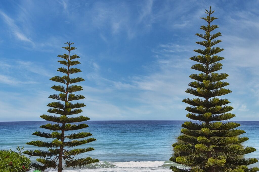 capital expenditures wbinvestimize