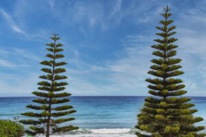 capital expenditures wbinvestimize