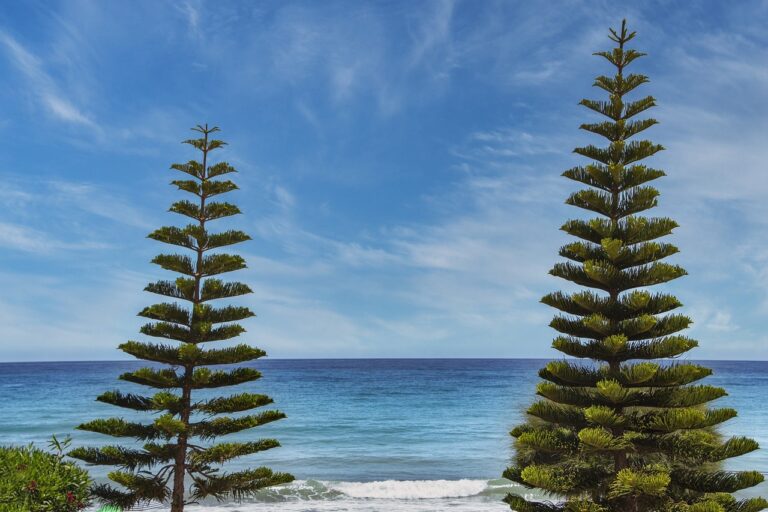 capital expenditures wbinvestimize