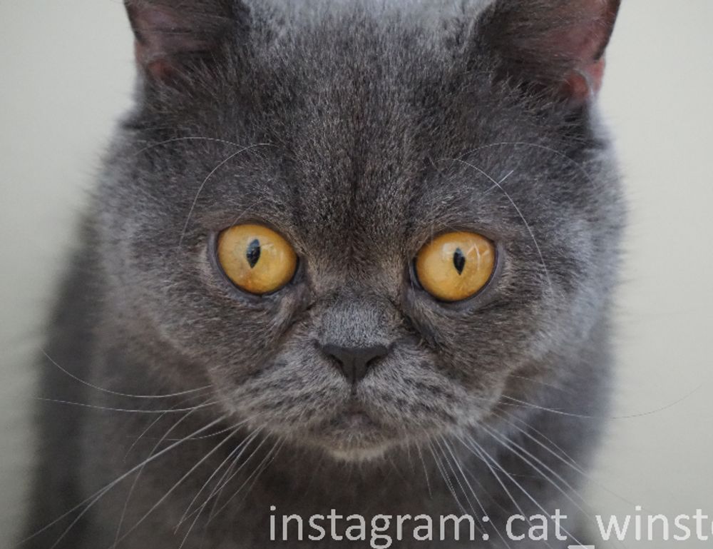 best business advice ever wbbiznesizing