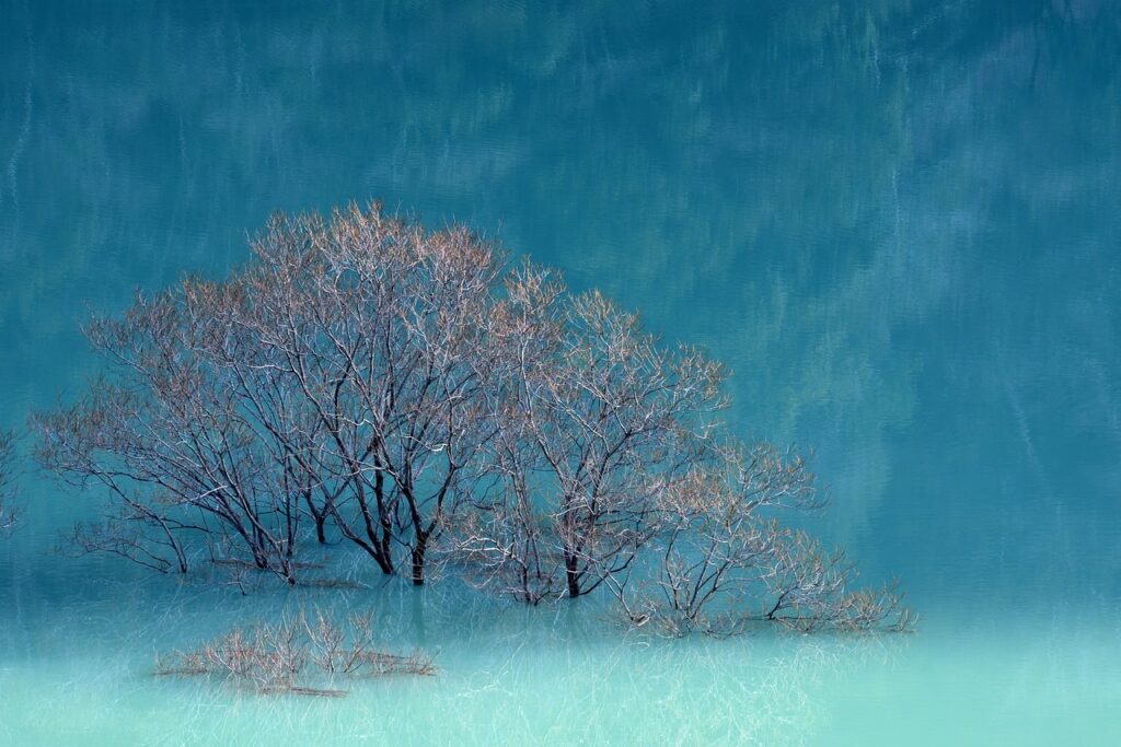 best investment advice for beginners rprinvesting