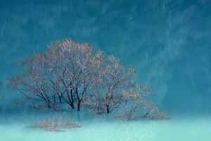 best investment advice for beginners rprinvesting