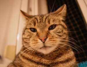 best investment advice today rprinvesting