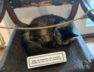 business guide wbbiznesizing