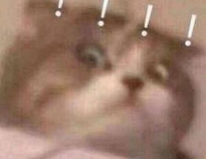 financial advice wbcompetitorative