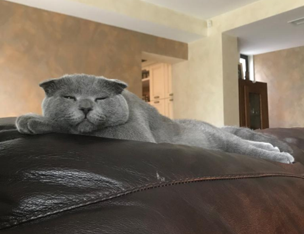 roarbiznes financial infoguide by riproar