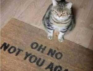 tech guide rprinvesting