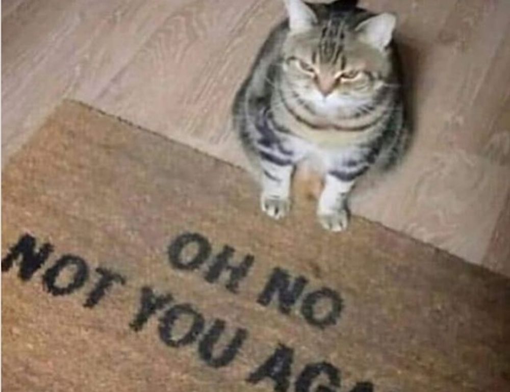 tech guide rprinvesting