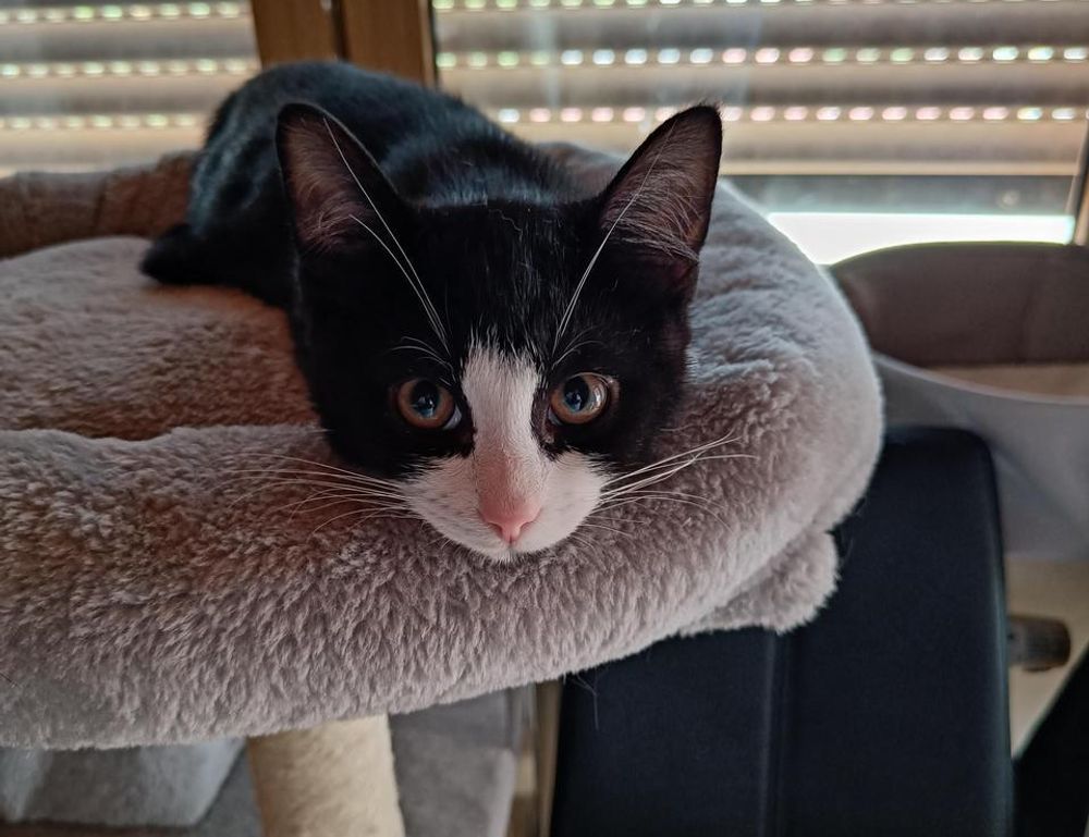 trading guide roarbiznes