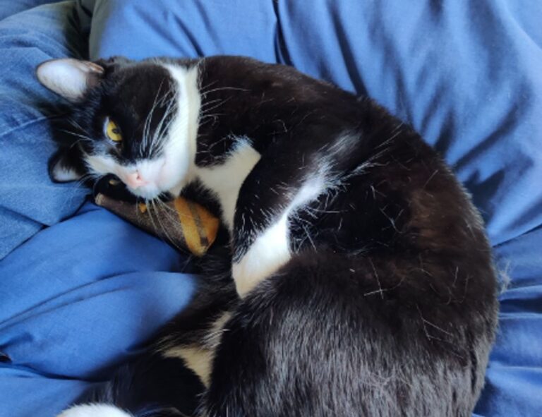 where to find funding advice rprinvesting