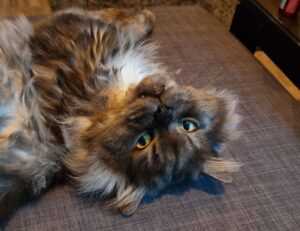 where to get best investment advice rprinvesting