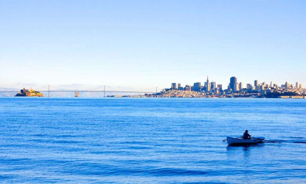 why business consulting is important roarbiznes