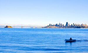 why business consulting is important roarbiznes