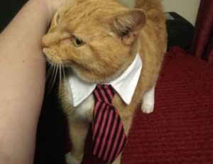 why business consulting is important wbbiznesizing