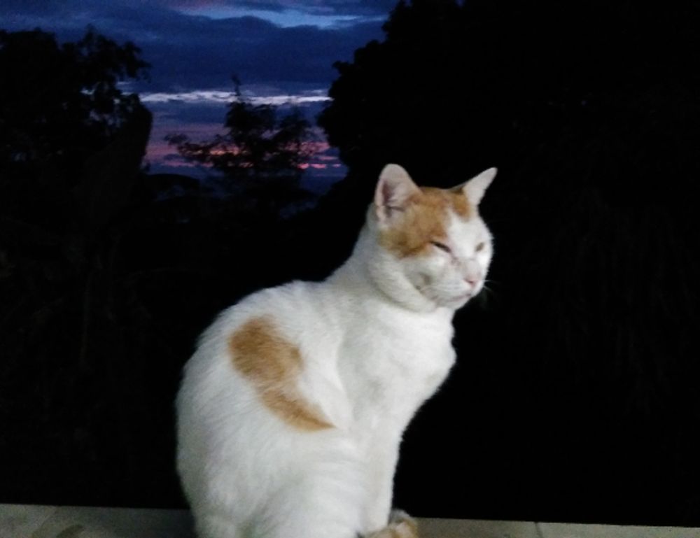 why will your business be successful wbbiznesizing