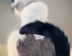 should i use zayepro pharmaceuticals ltd