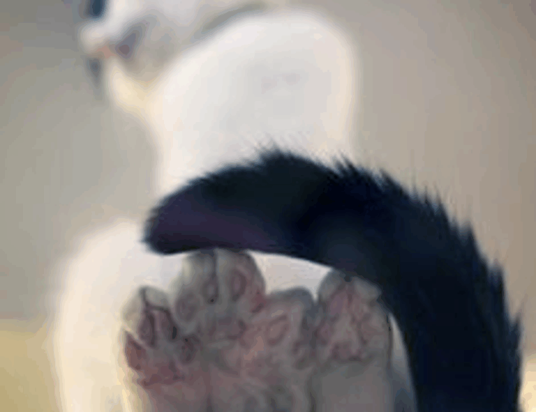 should i use zayepro pharmaceuticals ltd