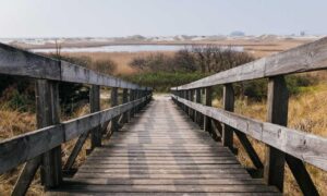 zayepro pharmaceuticals ltd tested