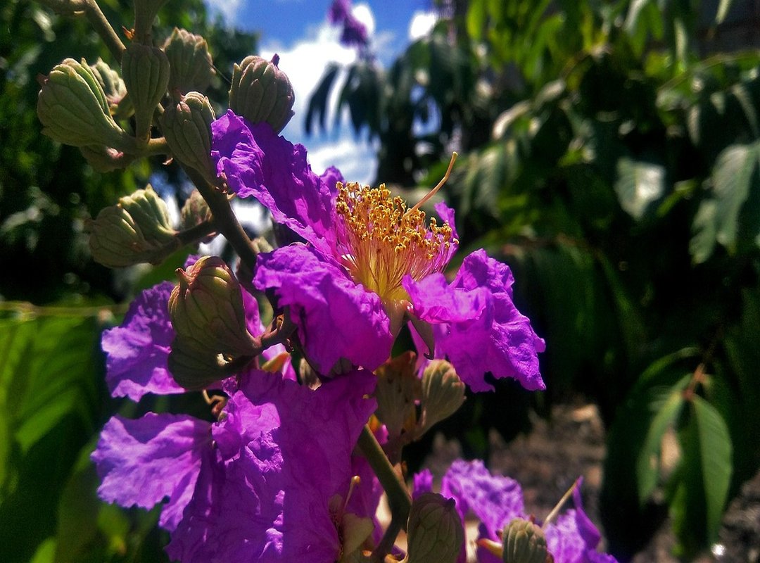 Top 5 Features That Make ArsMate a Must-Have