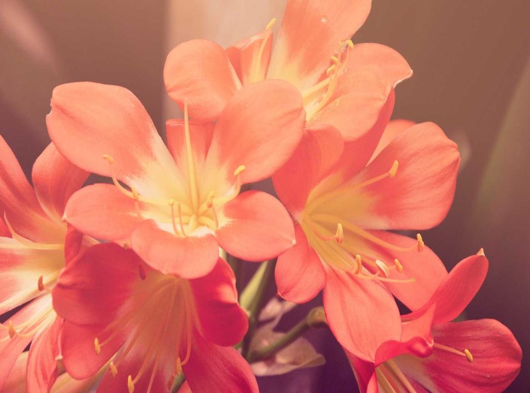 Who Is This Cap Actually For (And Who Should Skip It)?