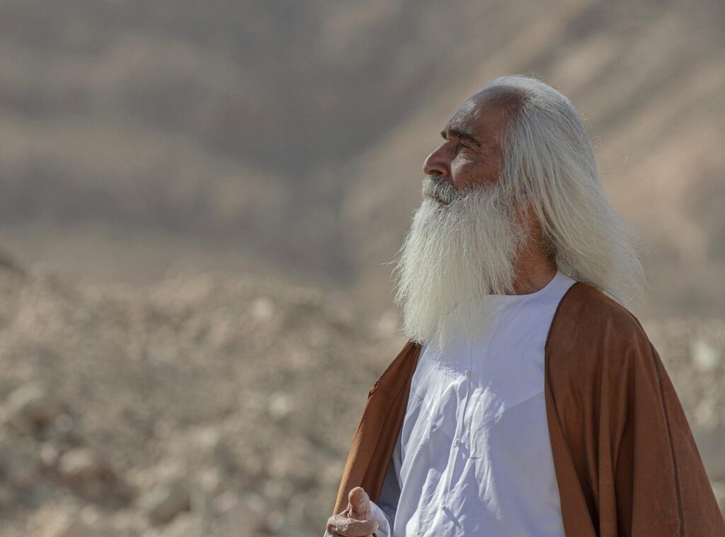 karolina protsenko vermogen