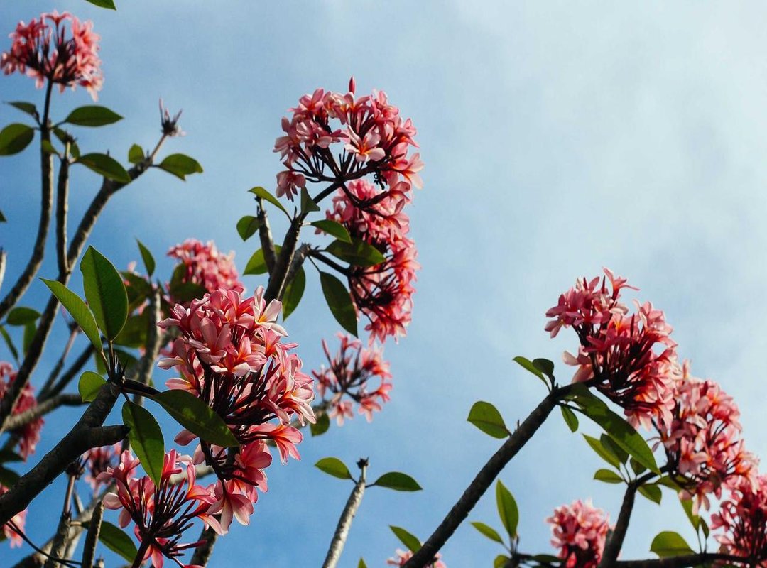 What to Watch Next: Recent Hits and Upcoming Projects