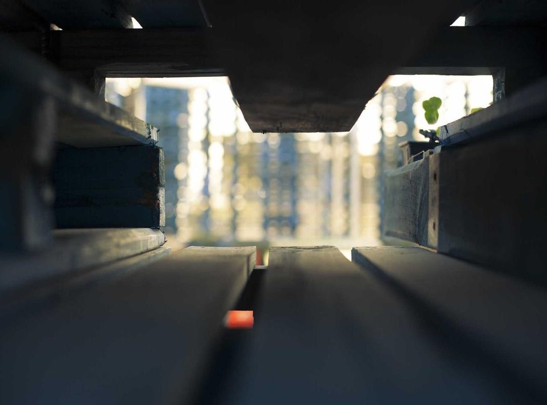 Symbols of Growth and Guidance: Floral and Celestial Ideas