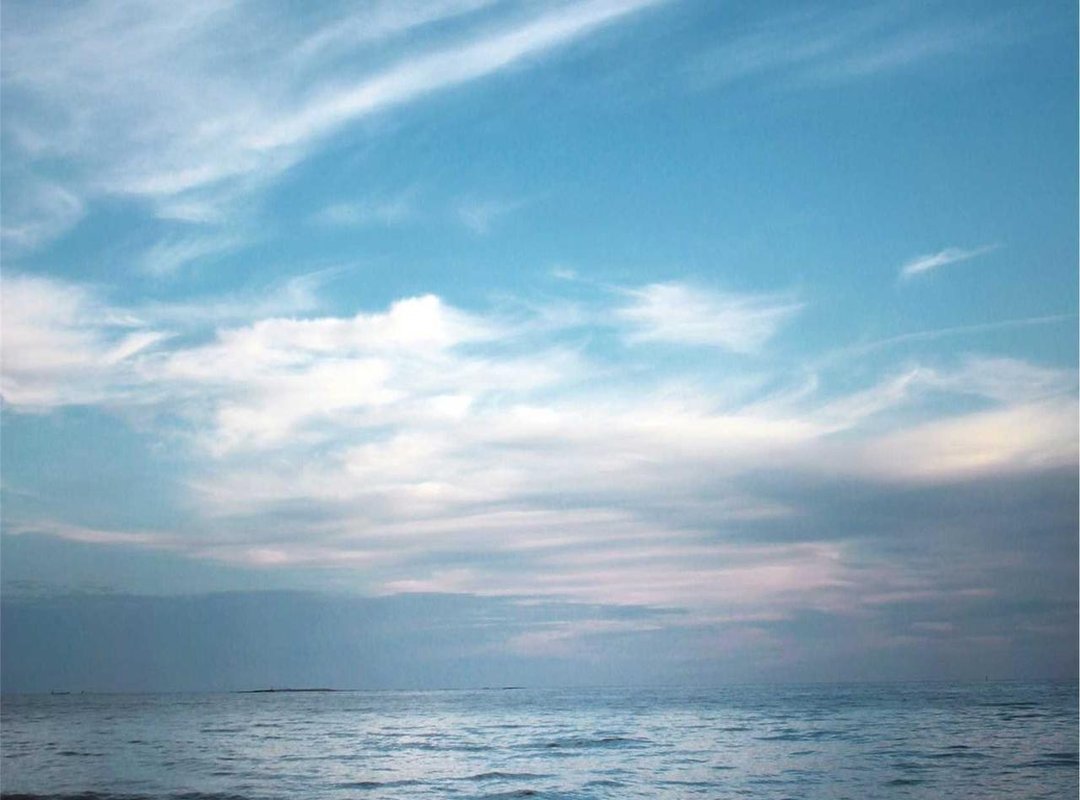 How to Set Your New Wallpaper in WhatsApp (iPhone & Android)