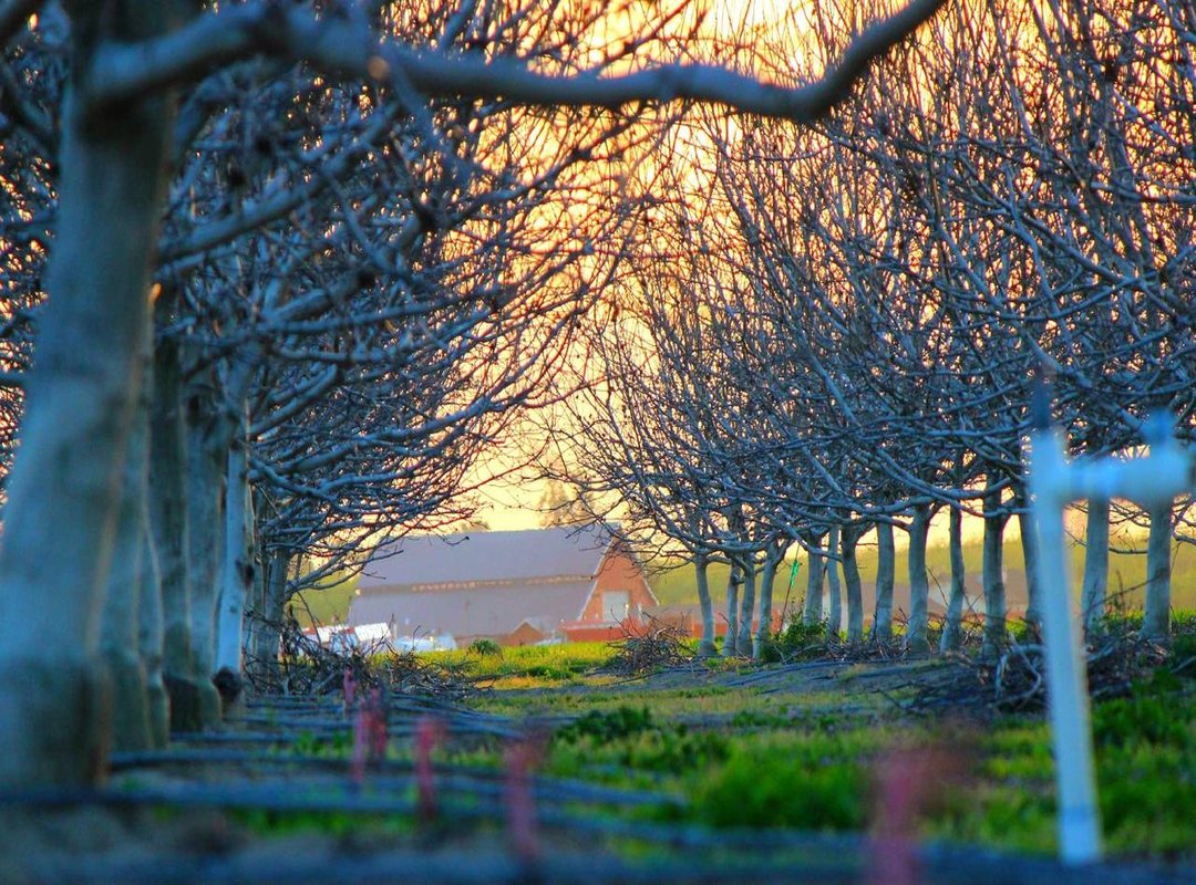 Beyond the Hype: 2024 Logo Trends That Actually Drive Business