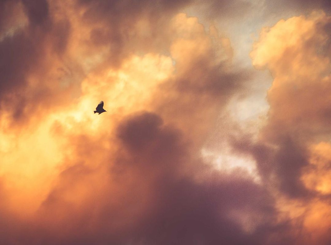 From Beginner to Brawler: Essential Moves and Combos