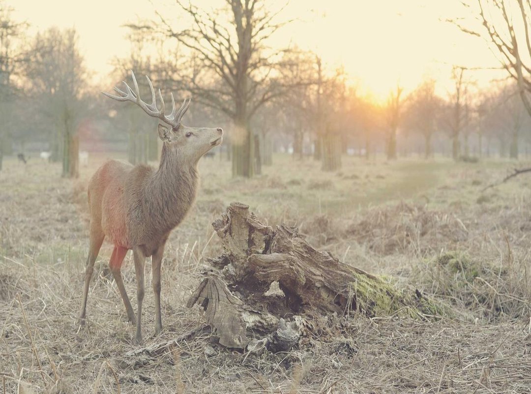 How to Use 'Yepo' Correctly (And What to Avoid)