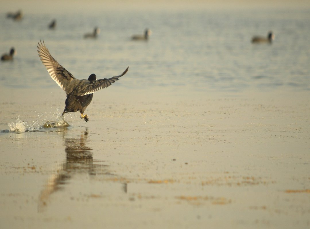 Debunking Common Myths About Performer Ages