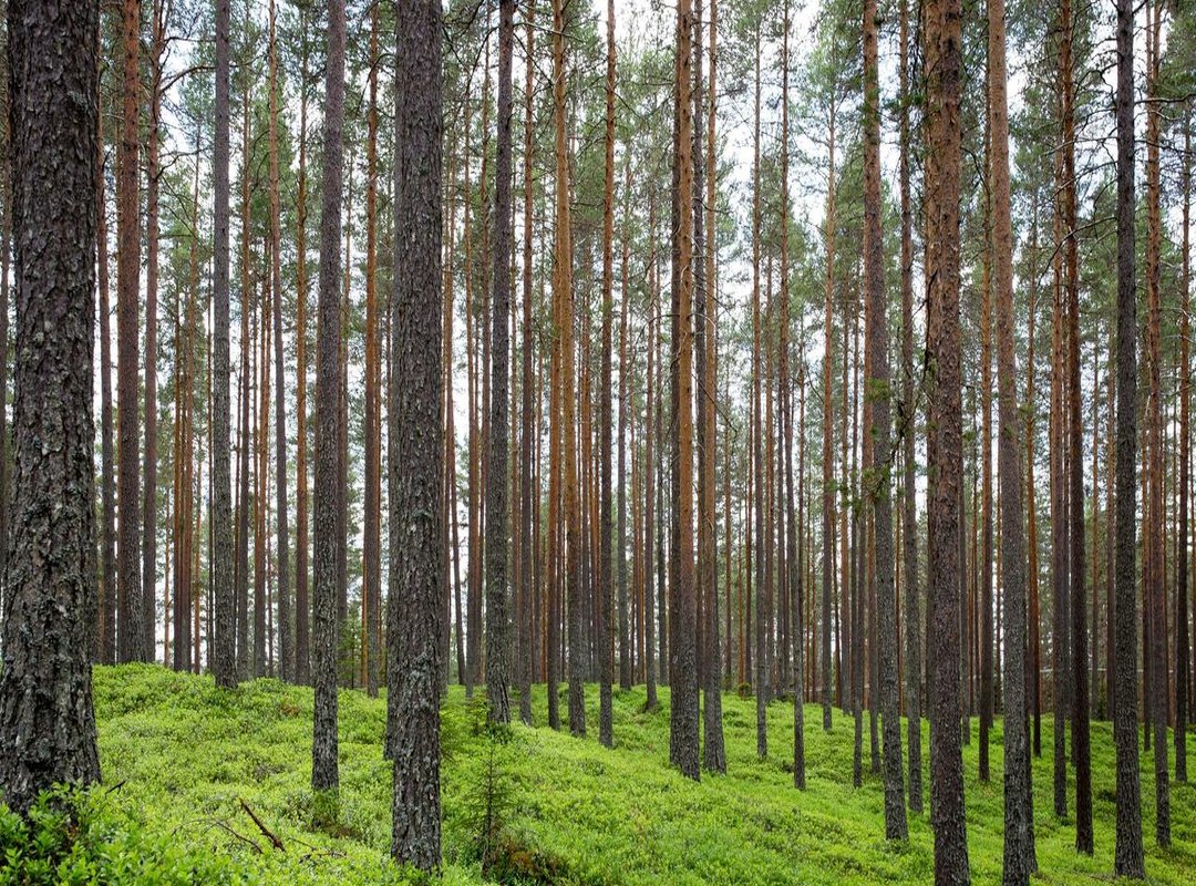 Meet the Key Players: The Characters Driving the Intrigue